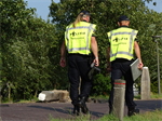 Prio 1 VKO Verkeersongeval Boom Auto Trekwei Westergeest